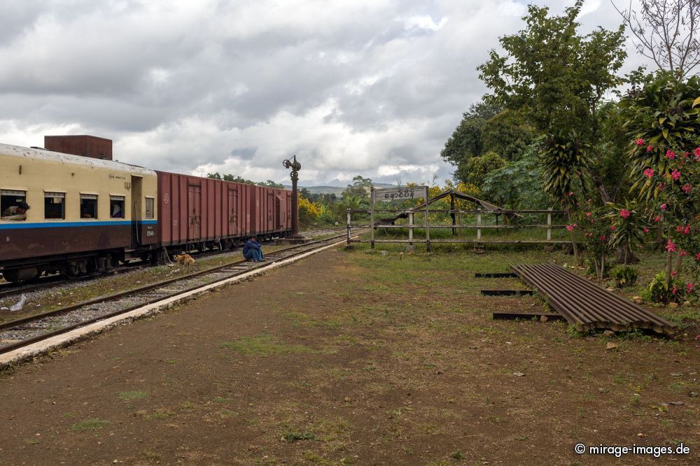 DW15_3798.jpg