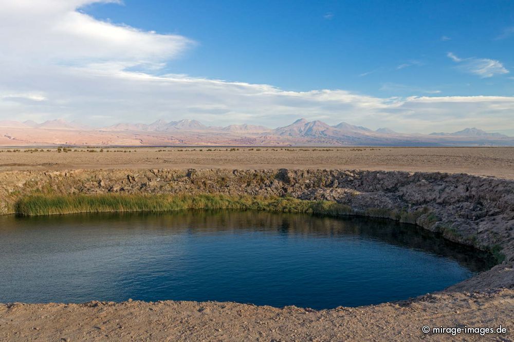 Ojos del Salar de Atacama
San Pedro de Atacama
Schlüsselwörter: Becken Loch Wasserloch blau WÃ¼ste Wasser Einsamkeit malerisch Licht klar trocken arid Steine Felsen Hochebene einsam Einsamkeit menschenleer Geologie Stille Weite Natur Landschaft geschÃ¼tzt wasserarm