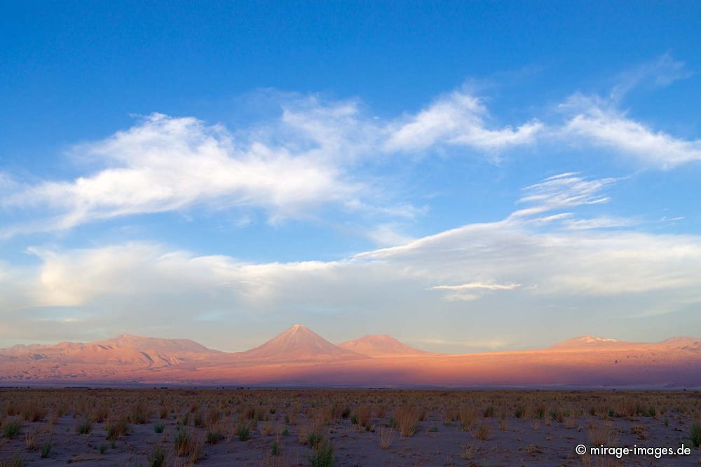 Sunset over Volcano Licancabur
Salar de Atacama
Schlüsselwörter: Landschaft Vulkan Kegel Geologie karg Schönheit Ichu Gras Wolken Himmel malerisch szenisch Naturschönheit Wüste Ruhe Einsamkeit Leere Stille Naturschutz trocken dürr arid wasserarm abends karg menschenleer spärlich geschützt Sonne kalt hoch Hocheben