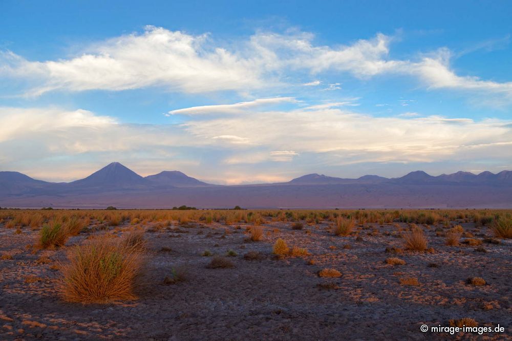 Sunset over Volcano Licancabur
Salar de Atacama
Schlüsselwörter: Landschaft Vulkan Kegel Geologie karg Schönheit Ichu Gras Wolken Himmel malerisch szenisch Naturschönheit Wüste Ruhe Einsamkeit Leere Stille Naturschutz trocken dürr arid wasserarm abends karg menschenleer spärlich geschützt Sonne kalt hoch Hocheben