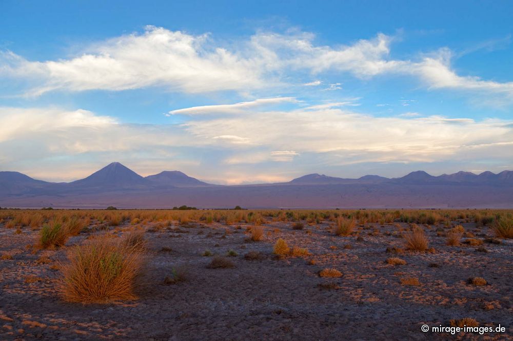 Sunset over Volcano Licancabur
Salar de Atacama
Schlüsselwörter: Landschaft Vulkan Kegel Geologie karg SchÃ¶nheit Ichu Gras Wolken Himmel malerisch szenisch NaturschÃ¶nheit WÃ¼ste Ruhe Einsamkeit Leere Stille Naturschutz trocken dÃ¼rr arid wasserarm abends karg menschenleer spÃ¤rlich geschÃ¼tzt Sonne kalt hoch Hocheben