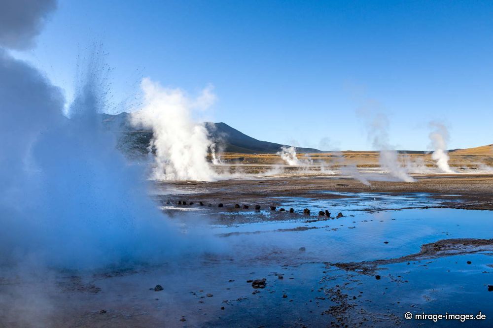 Valley of Geysers - First Sun
Geysers del Tatio
Schlüsselwörter: Fumarole Blasen malerisch Ökosystem extrem Umwelt zerbrechlich fragil Geysir Hitze heiss Wasser Hochebene Nebel Dampf morgens Naturschutzgebiet Rauch Schwefel entlegen bizarr Sonnenaufgang Wind wild geschützt Landschaft sprudelnd Geologie karg Schönhei