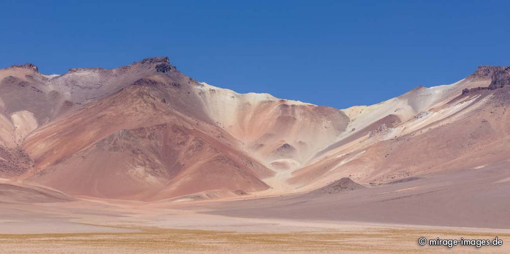 Salvador Dali Desert
