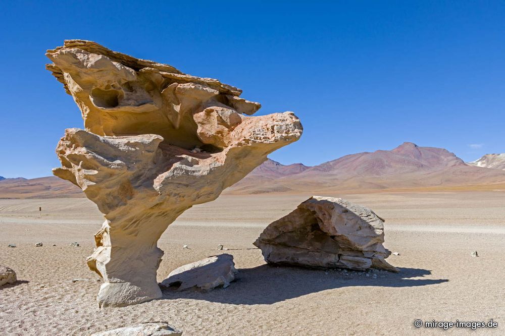 Arbol de Piedra
Siloli Desert
