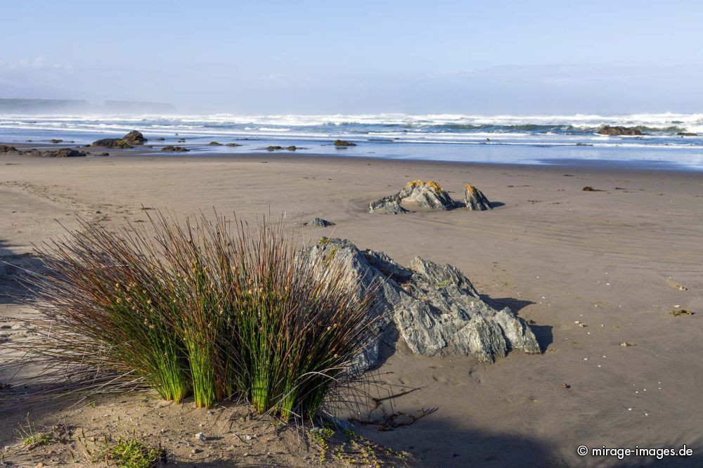 Pacific Ocean
ChiloÃ© Westcoast
