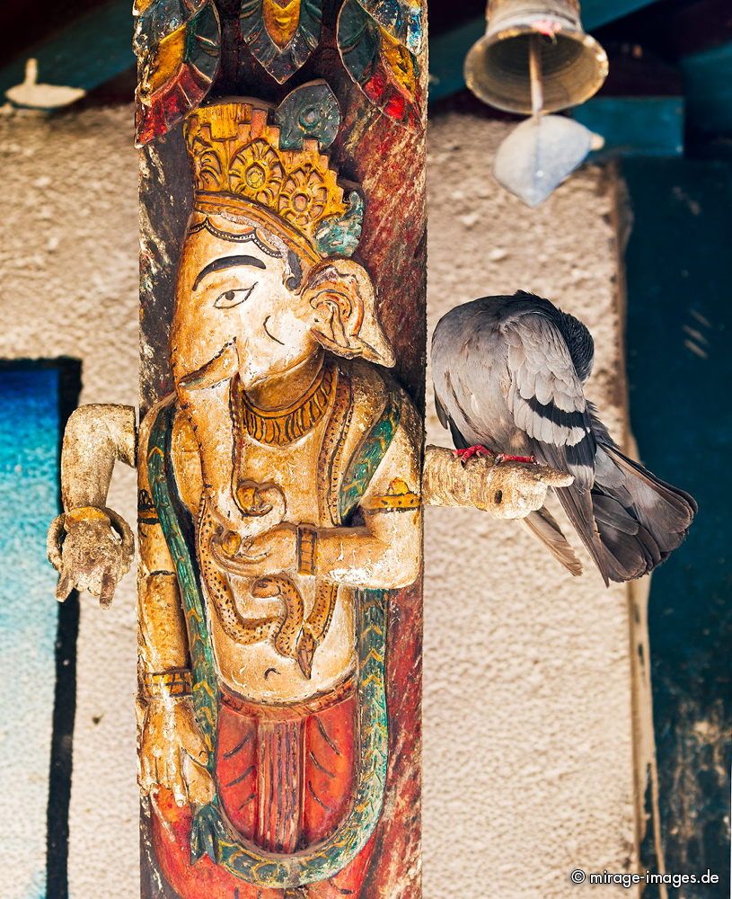 Holy Pigeons at Mahendreswor Temple
Durbar Square
