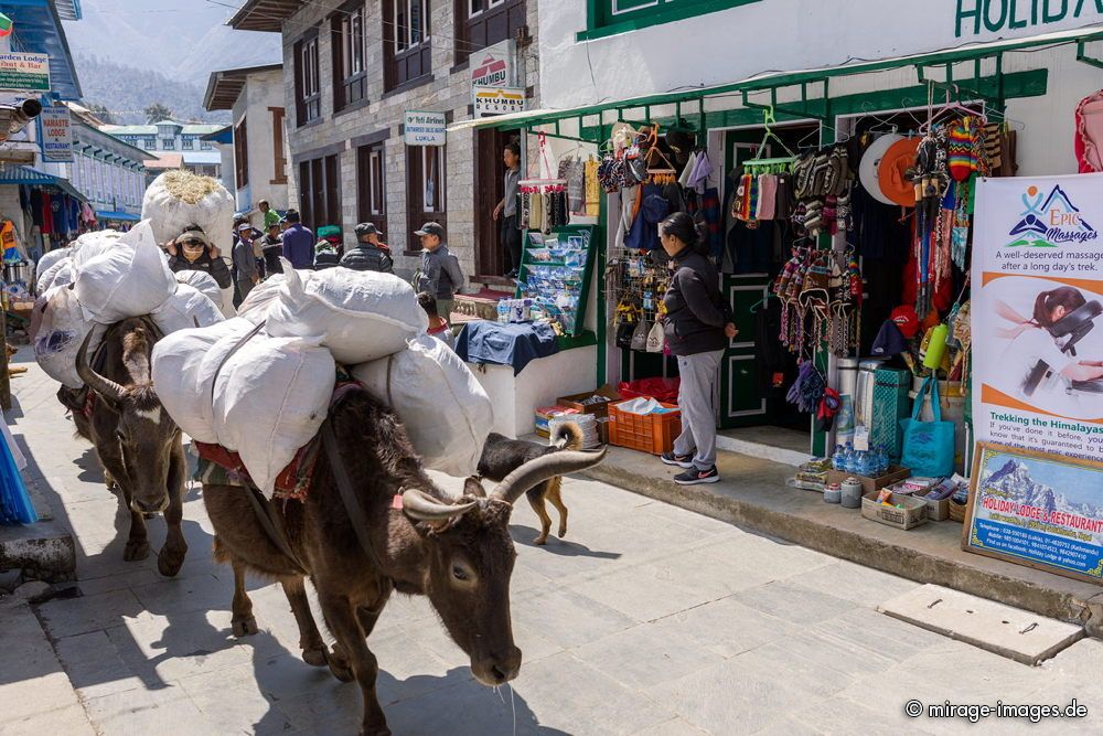 Yaks in the Shopping Zone
Luka Airport
