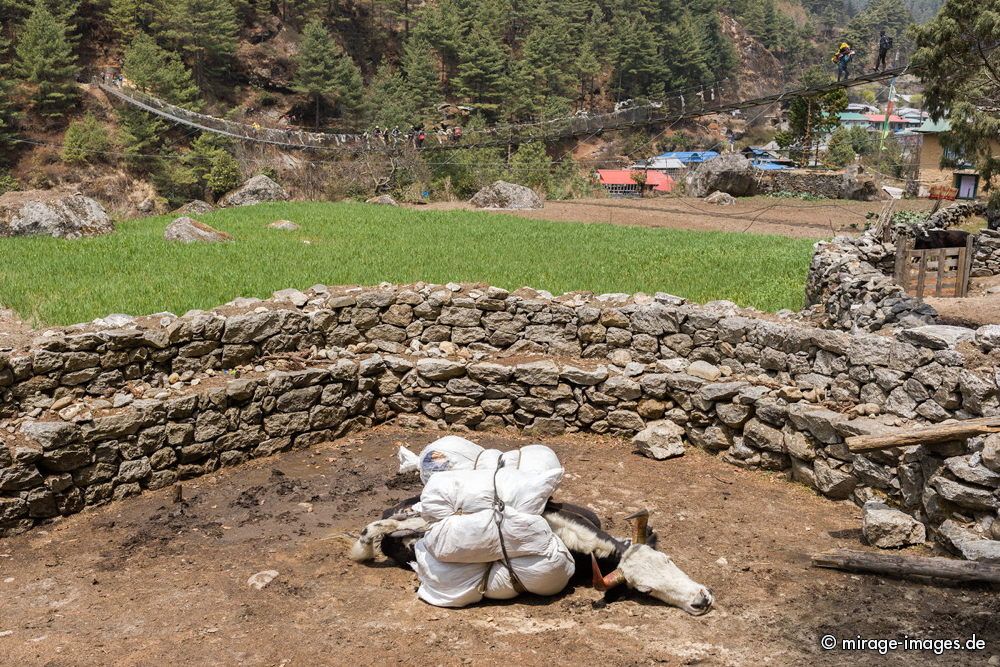 Pause
Everest Base Camp Trekking Route 
