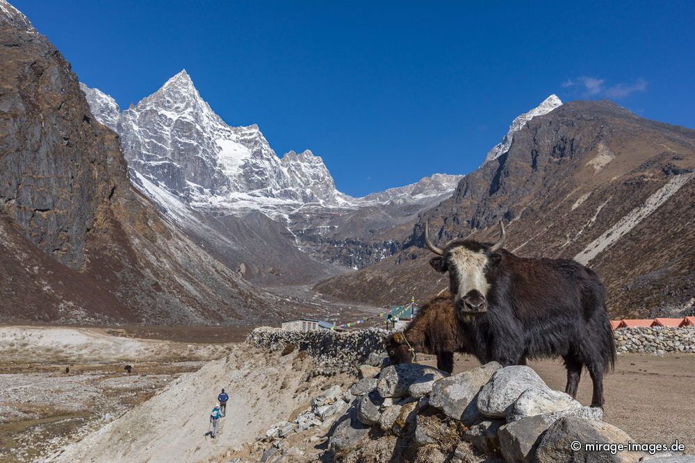 Machermo Peak
Machermo - Gokyo Lake Marg
