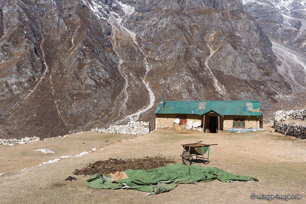 Yak Dung - drying for using as heating material
Lungden - Sagarmatha National Park
