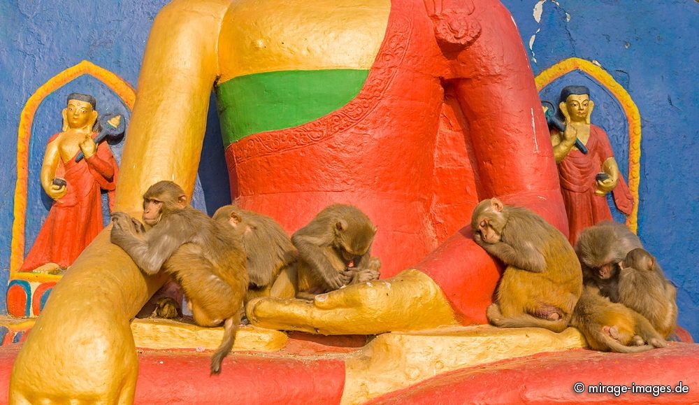 Holy Monkeys
Swayambhu Stupa - Monkey Temple
