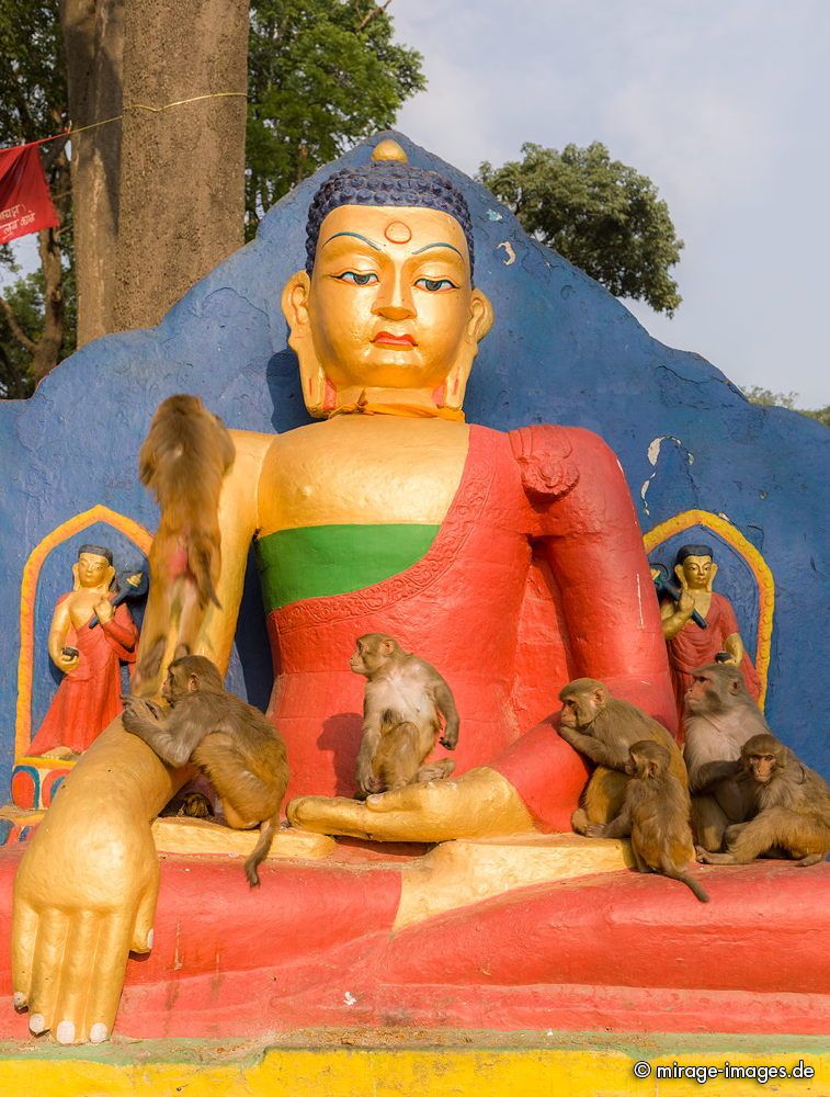 Holy Monkeys
Swayambhu Stupa - Monkey Temple
