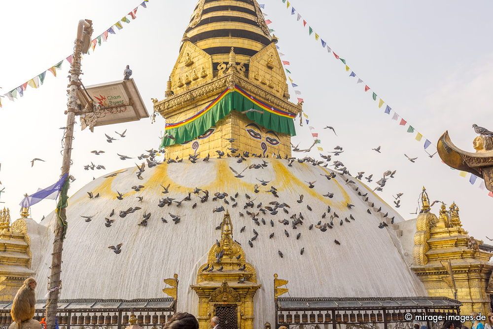 Swayambhu Stupa - Monkey Temple
