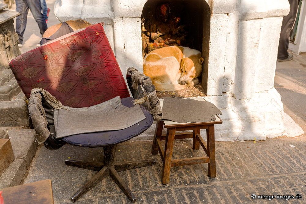 Dogs donÂ´t care
Swayambhu Stupa - Monkey Temple
