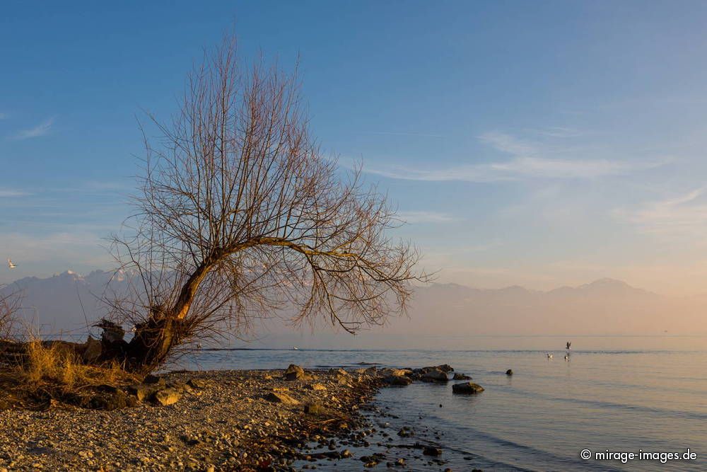 Lac LÃ©man
Lausanne
