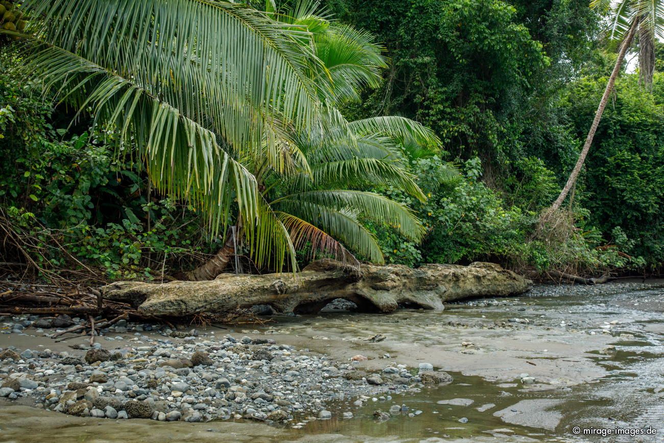 Rio Sirena
Parque Nacional Corcovado
