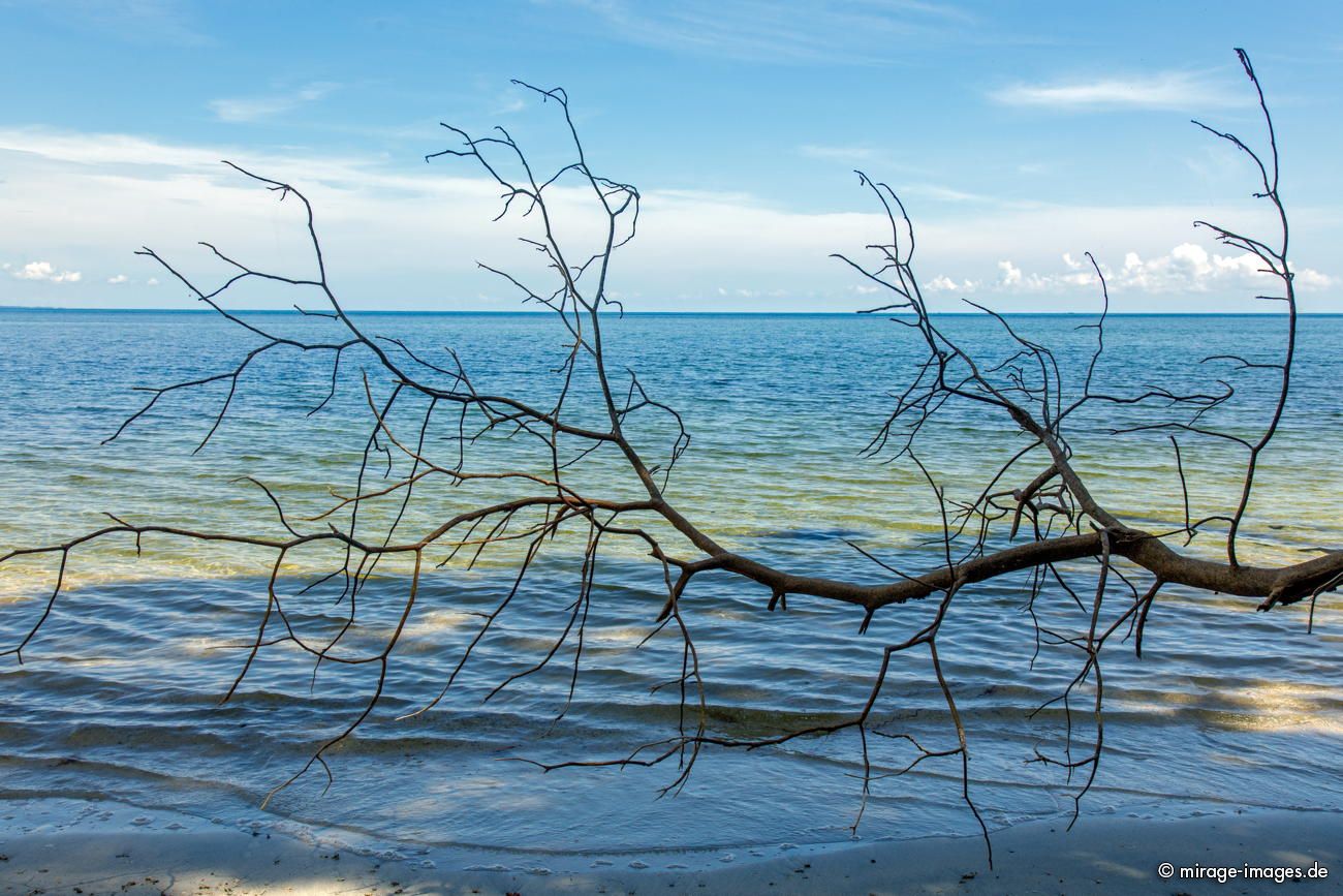 Parque Nacional cahuita
