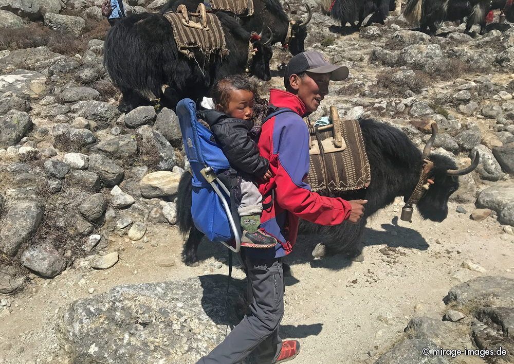 Yak herder carrying a child
Tarngga
