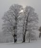Dateiname=DW12_0227-30.jpg
Dateigröße=62KB
Abmessungen: 519x600
hinzugefügt am: 02. Dezember 2014 DW12_0227-30.jpg