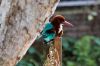 DW13_7361.jpg